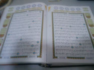 2 ГБ или 4 ГБ цифровая ручка Коран читателя с Tajweed, история и Тафсир